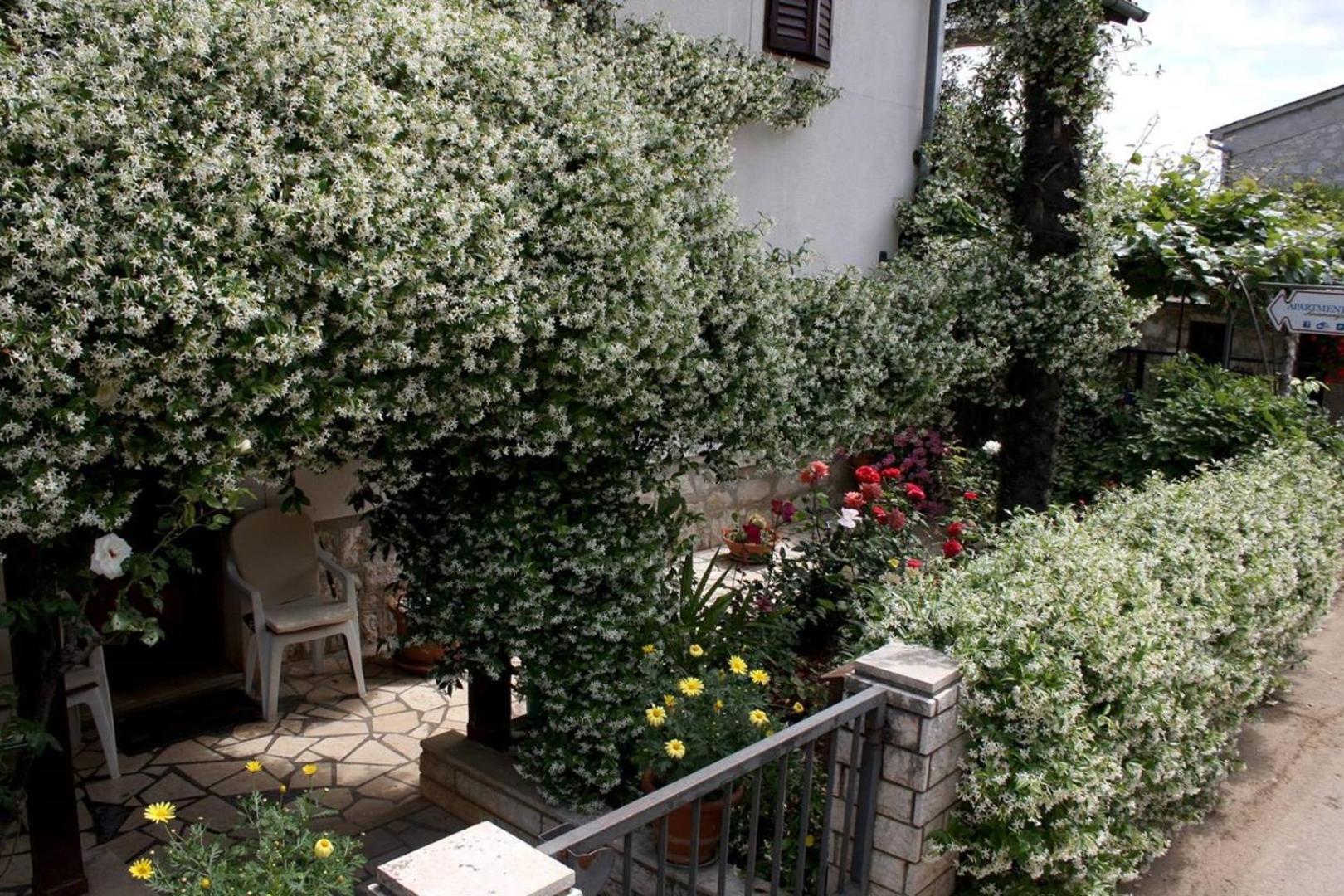 Anamarija Apartments Near The Beach And The Fantastic Adria Sea With Over 10 Small Islands Close By Funtana Exterior foto